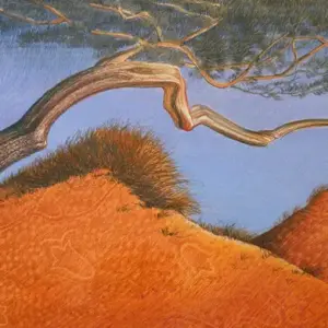Dune