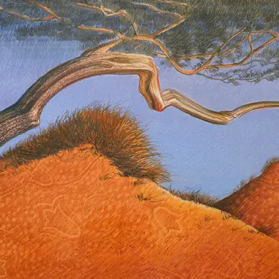 Dune