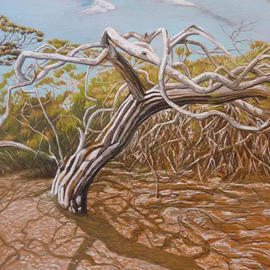 L’Arbre à Cala Nova