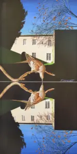 Le pigeon migrateur